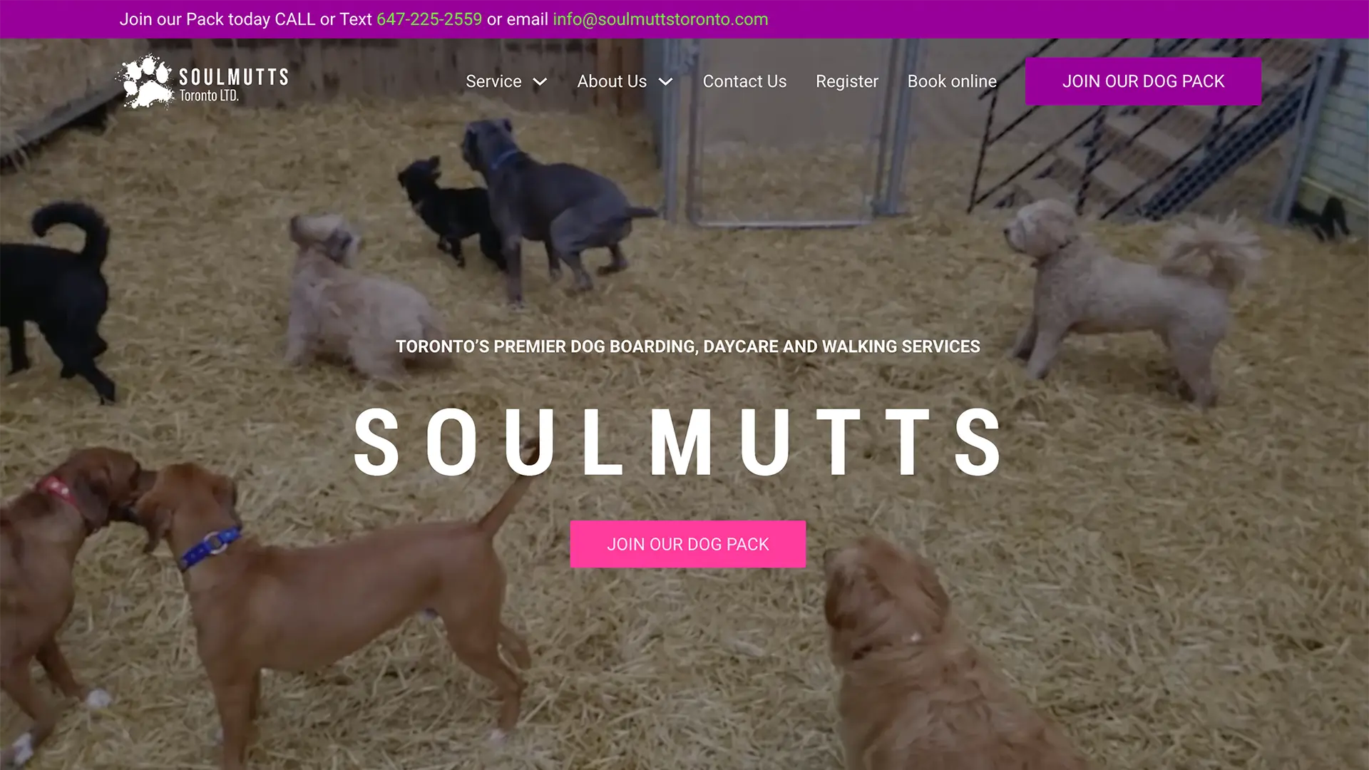 Soulmutts Homepage